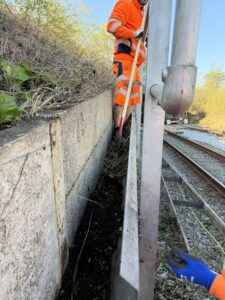 Beskæring af beplantning