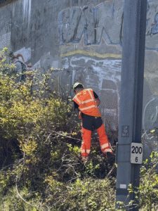 Beskæring af beplantning